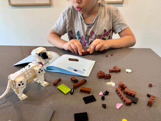 Letting Go of the Guidebook: How My Daughter Found Her Creative Voice - Crazy Little Books